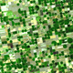 Crops in Kansas as seen from space.
